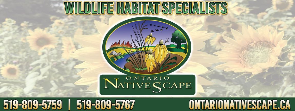 Ontario Native Scape Arena Rink Board with Boardview Advertising Inc.