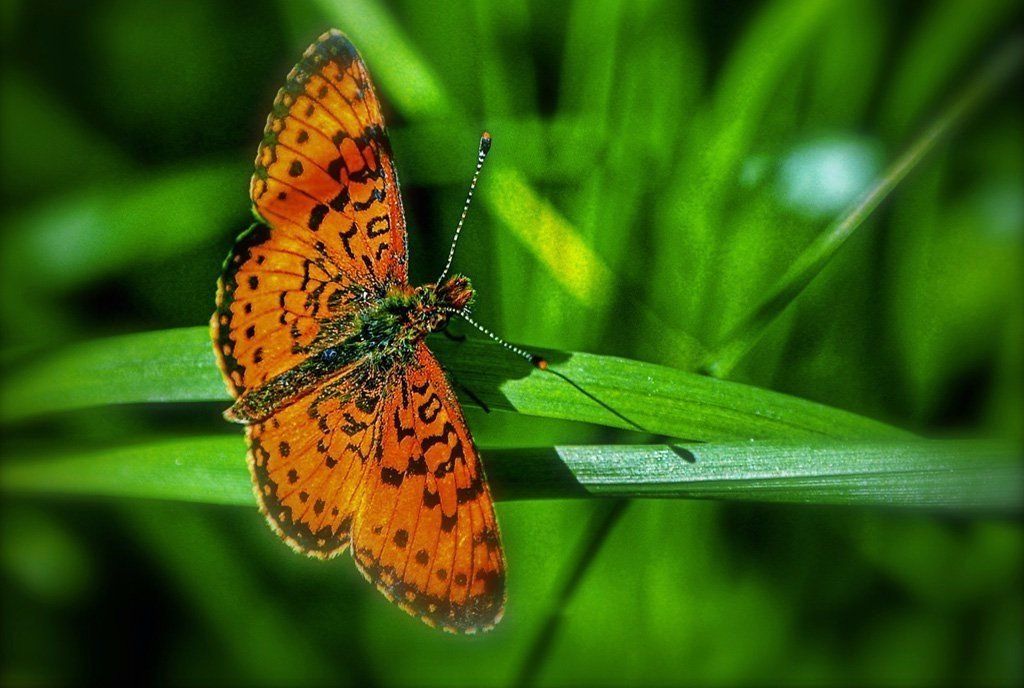 Transforming Your Potential Purpose Counseling