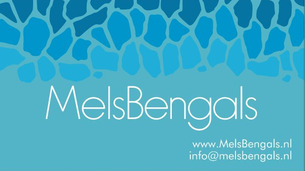 cattery Mels Bengals