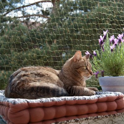 kattennet - zooplus kattennet - zooplus