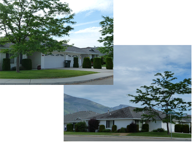 Blodget View Property Photo