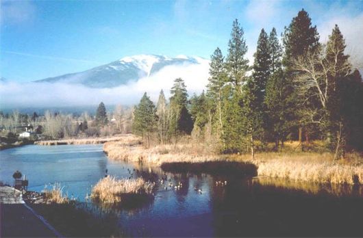 Pine Park Property Photo