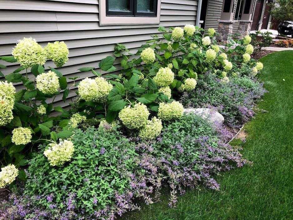 garden 4