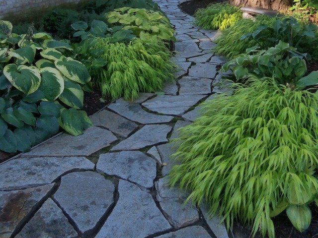 pathway in garden