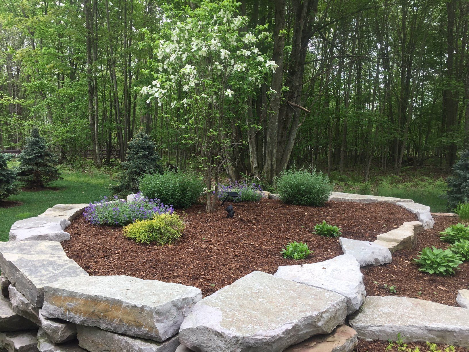 garden with stones