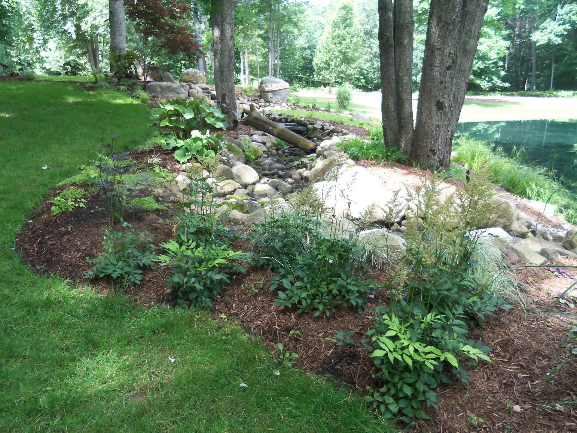 garden