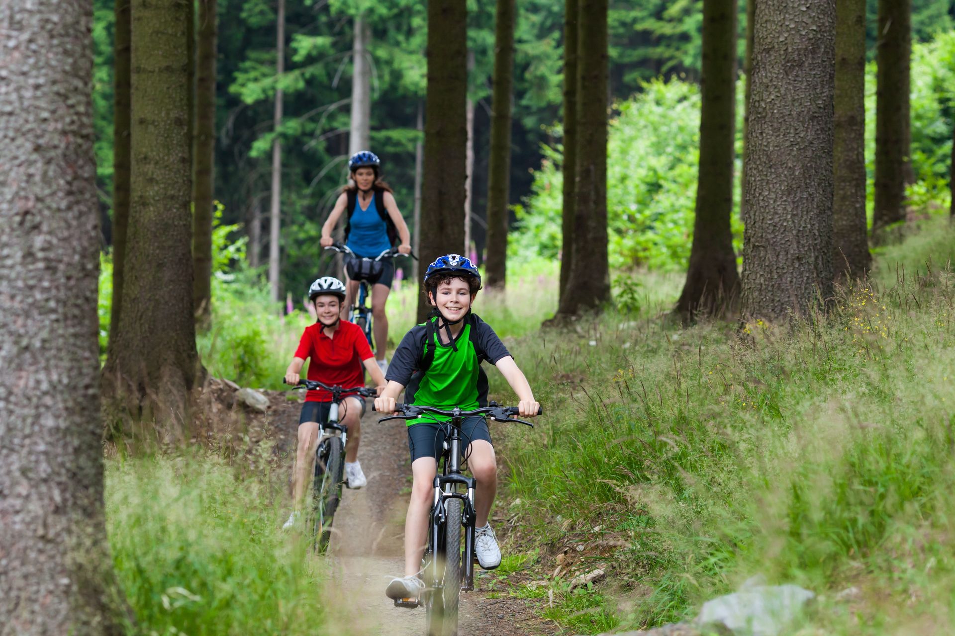 Drei Personen auf Fahrrädern fahren auf einem unbefestigten Weg im Wald; sonniger Tag.