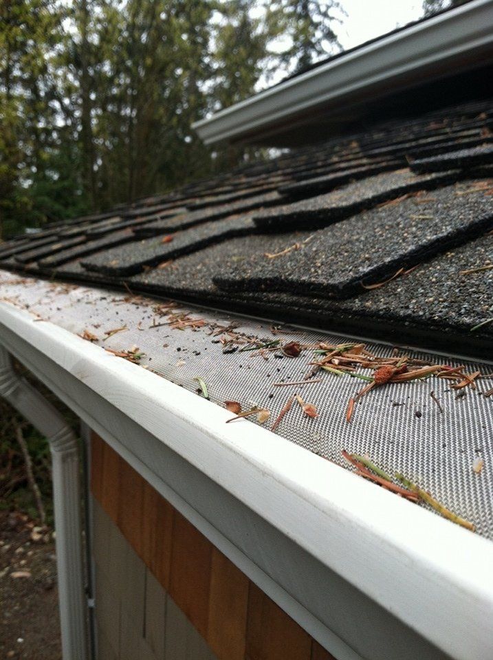 Close-up of a shingle roof edge with gutter guard, pine needles, and debris near the eaves.