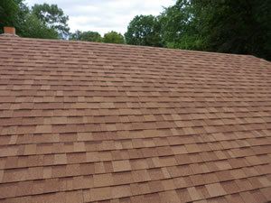 Brown shingled roof with trees in the background