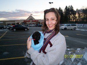 dogs for adoption