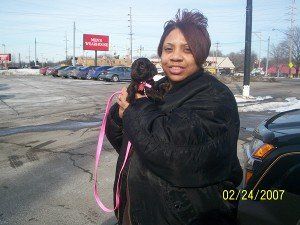 dog for adoption