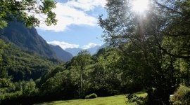 albergo nel verde
