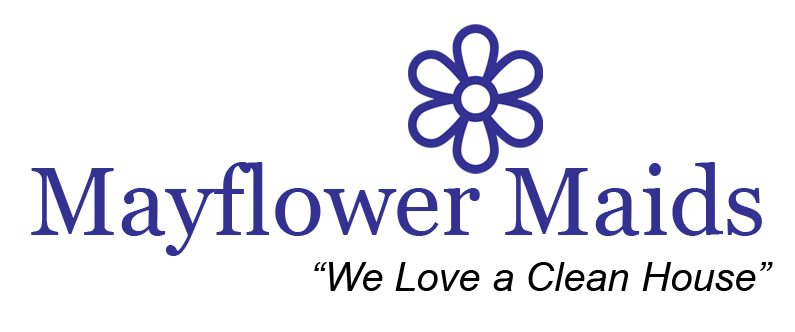 cleaning company