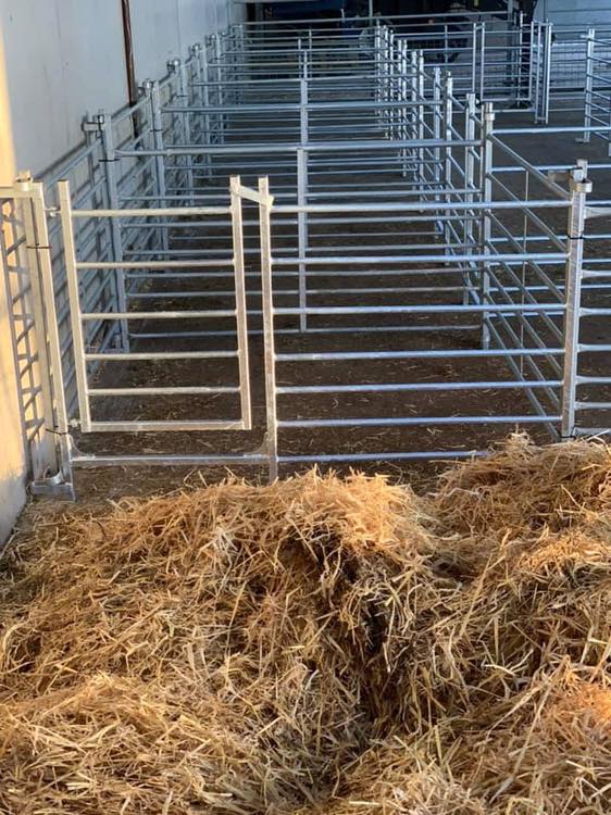 Gated pens fabricated by MW Engineering & Fabrication Kirkcudbright Dumfries & Galloway Scotland