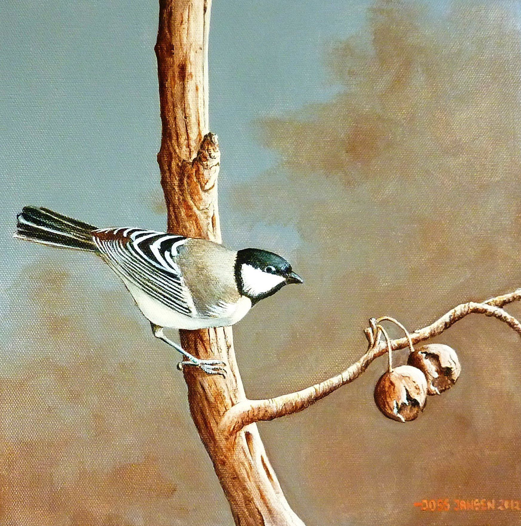 Koolmees, acryl, 30 x 30 cm. Verkocht Koolmees