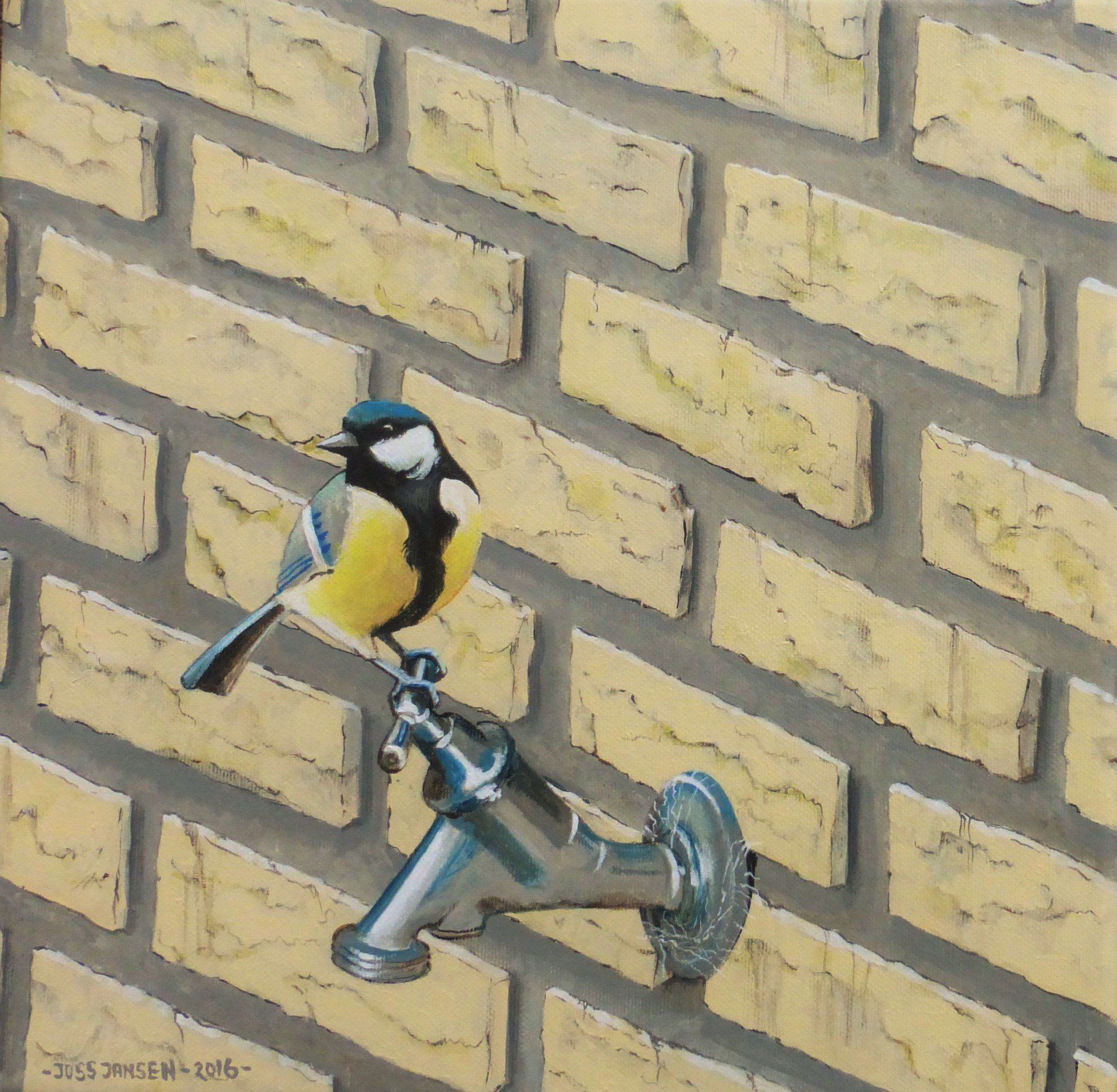Kraanvogel