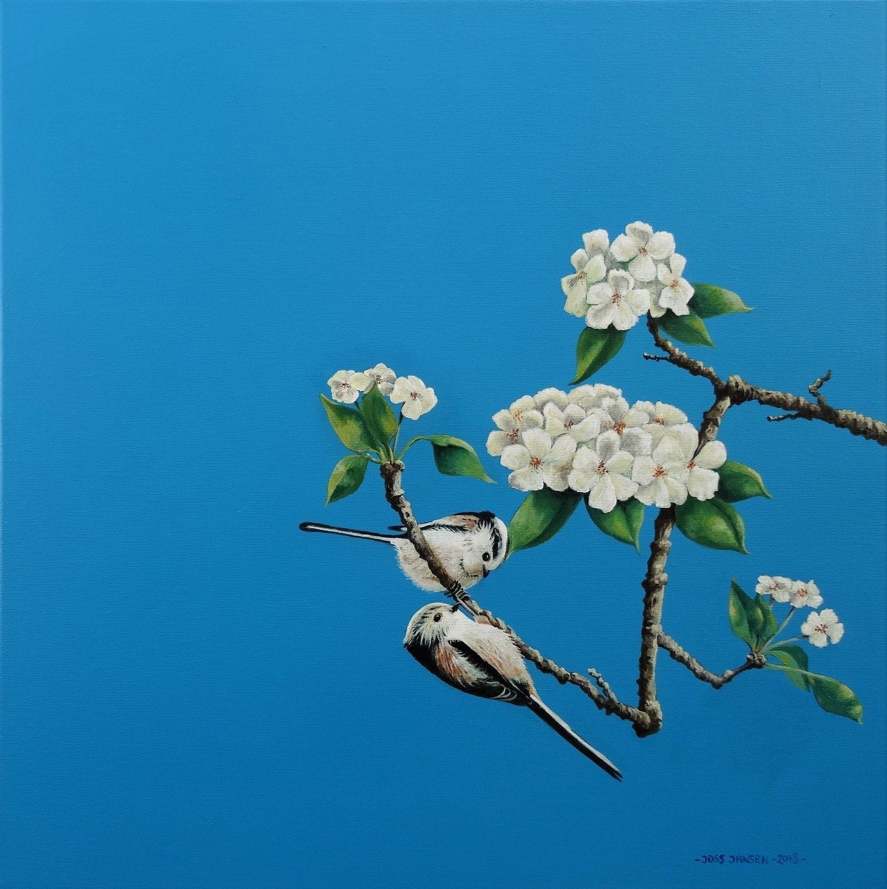 Lente 9 uur 23