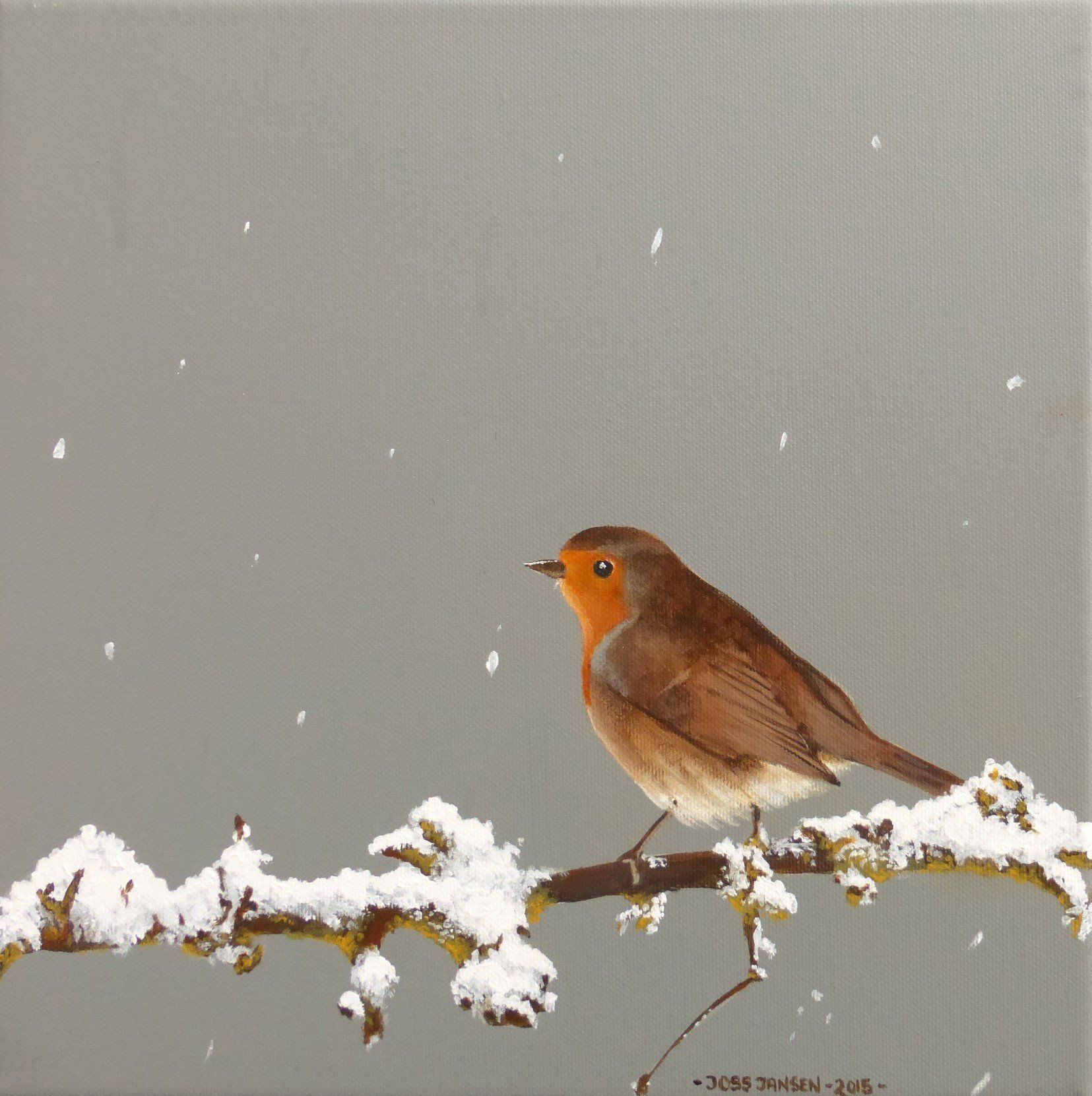 Roodborst in de sneeuw