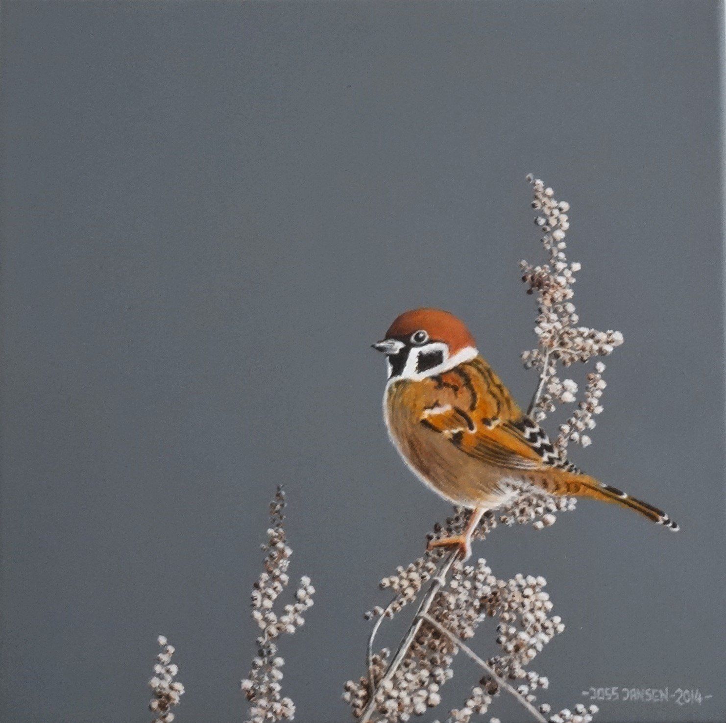 Wintermus