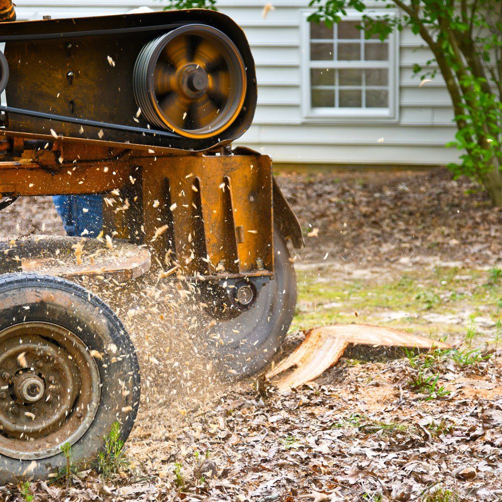 Removing Stump — Canton, OH — Bowman's Tree Service