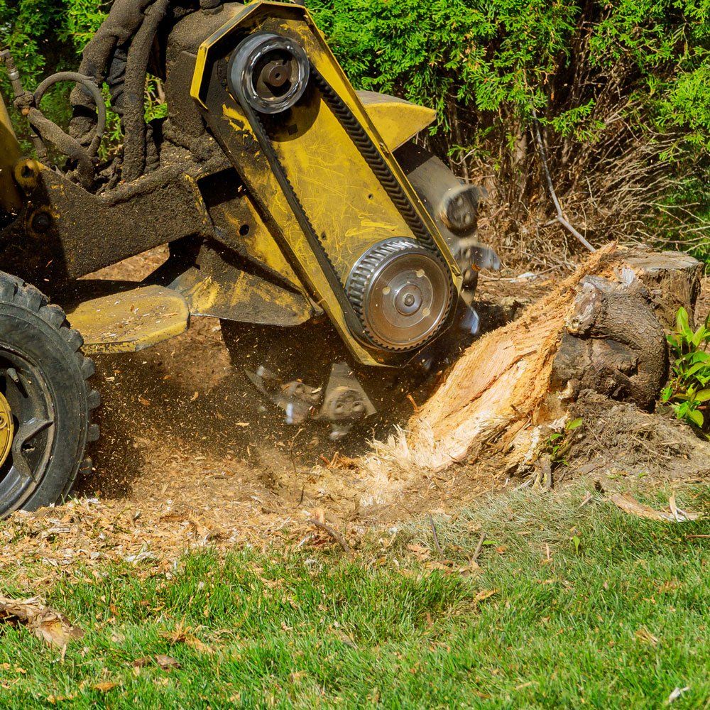 Grinding Stump — Canton, OH — Bowman's Tree Service