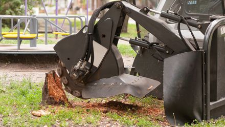 Removing Tree Stump — Canton, OH — Bowman's Tree Service Removing Tree Stump — Canton, OH — Bowman's Tree Service