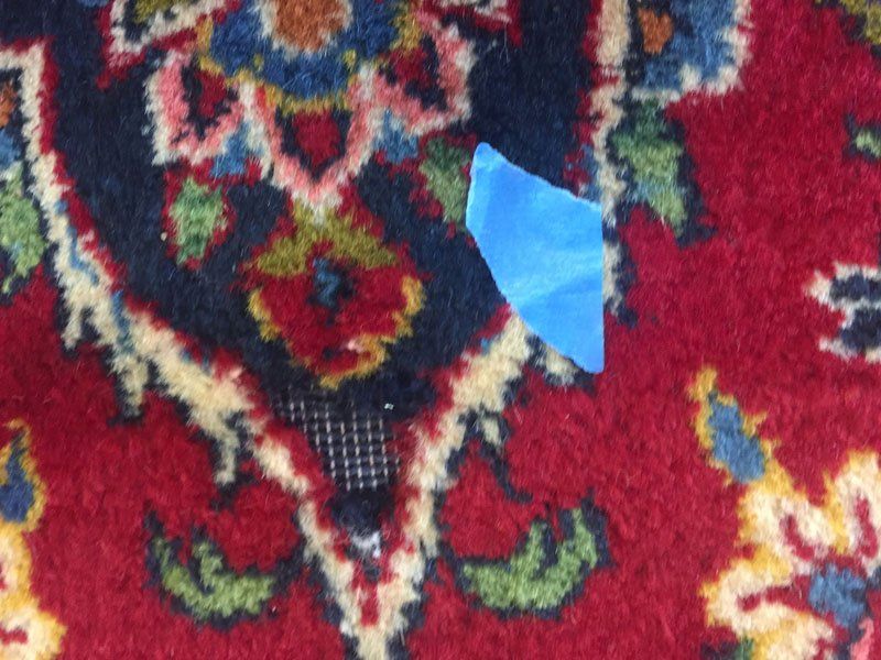 turkish rug damaged by moth , cleaning at rug master 