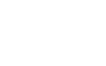 Beeren icon