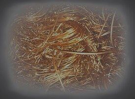 Non-Ferrous Metals — Copper in Lecanto, FL Non-Ferrous Metals — Copper in Lecanto, FL