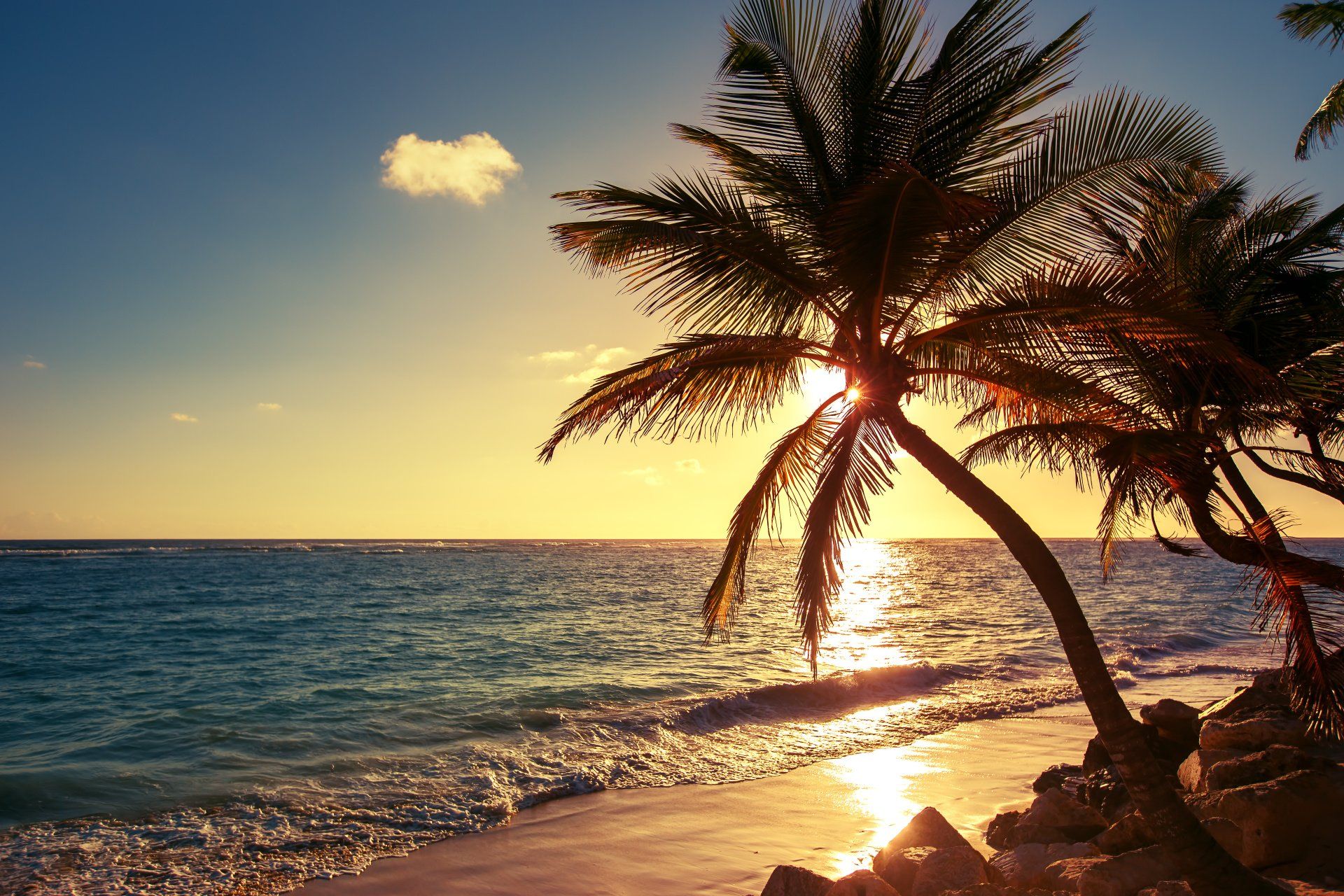 Beach Vacation