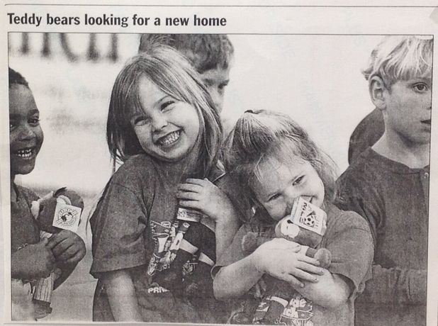 Teddy Bears Looking For A New Home