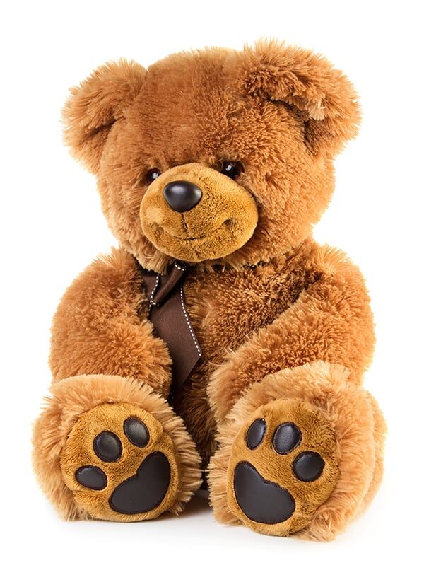 Teddy Bear — Nonprofit Fundraising in Palm City, FL