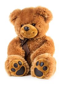 Teddy Bear — Nonprofit Fundraising in Palm City, FL