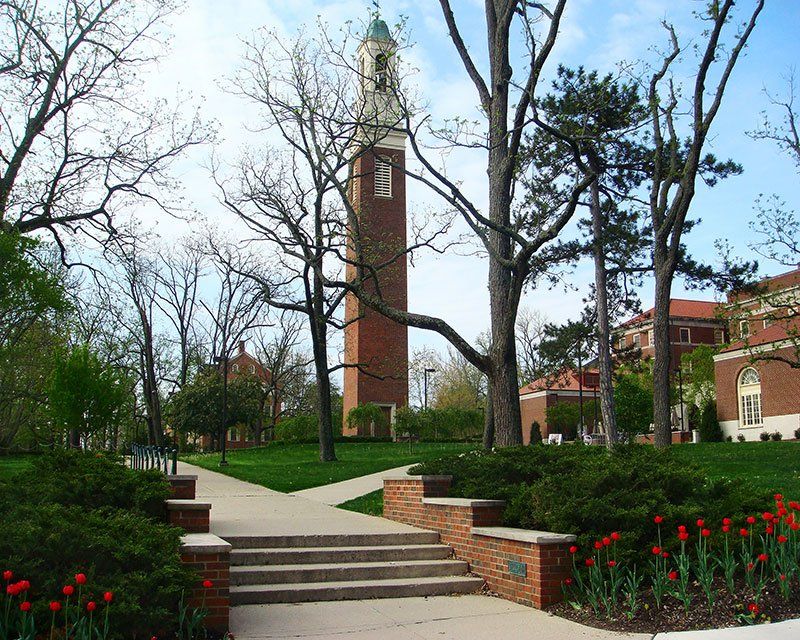 beta bells in spring