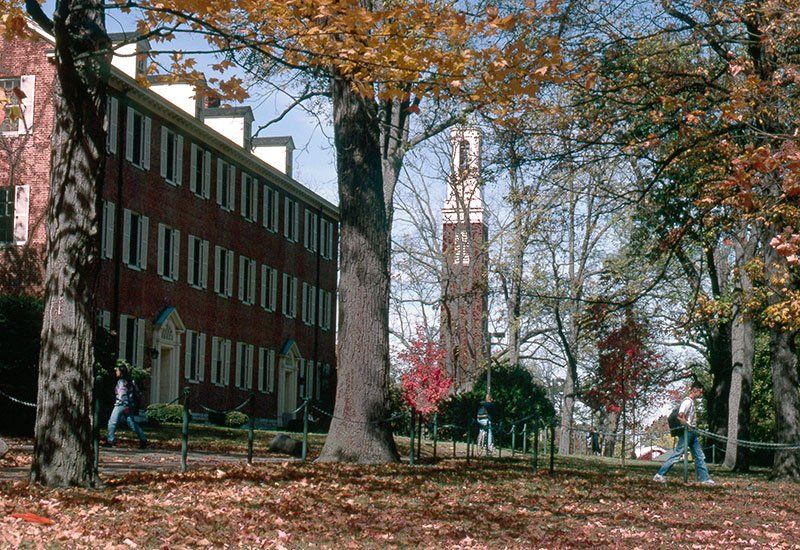 beta bells sidewalk