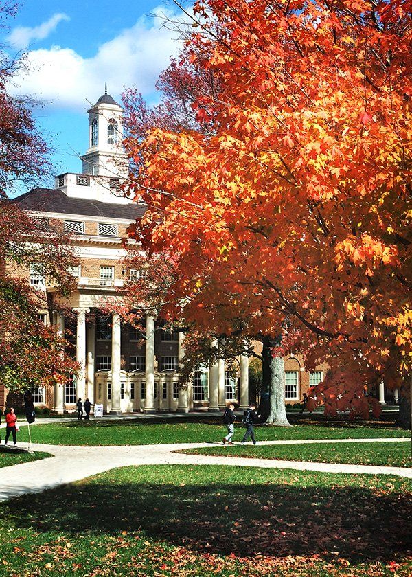 farmer school of business