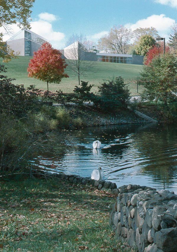swans at miami museum