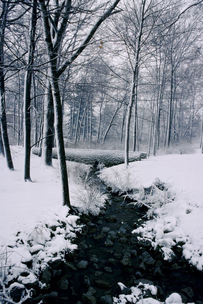 snowy brook at Miami U