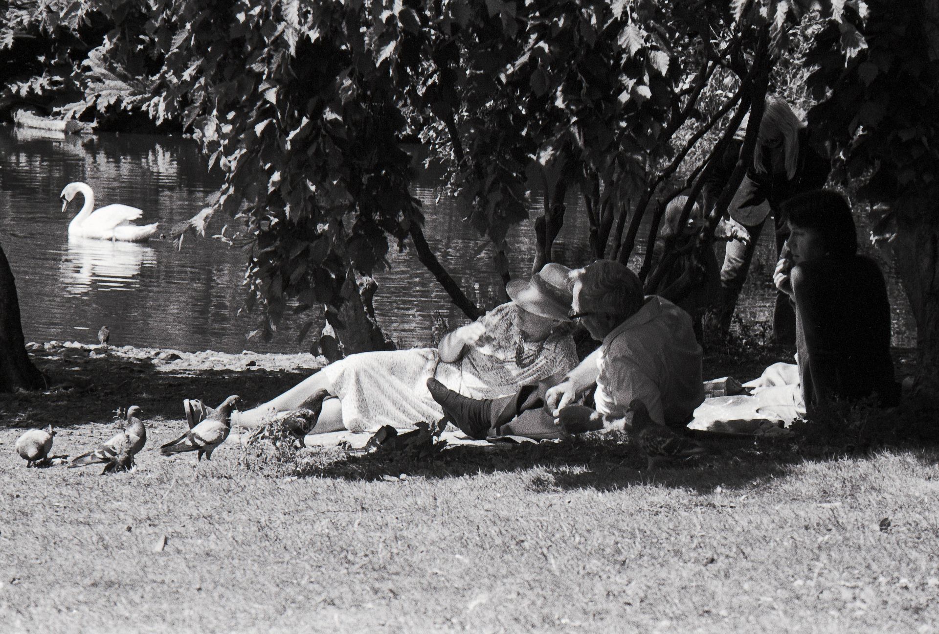 day in the park