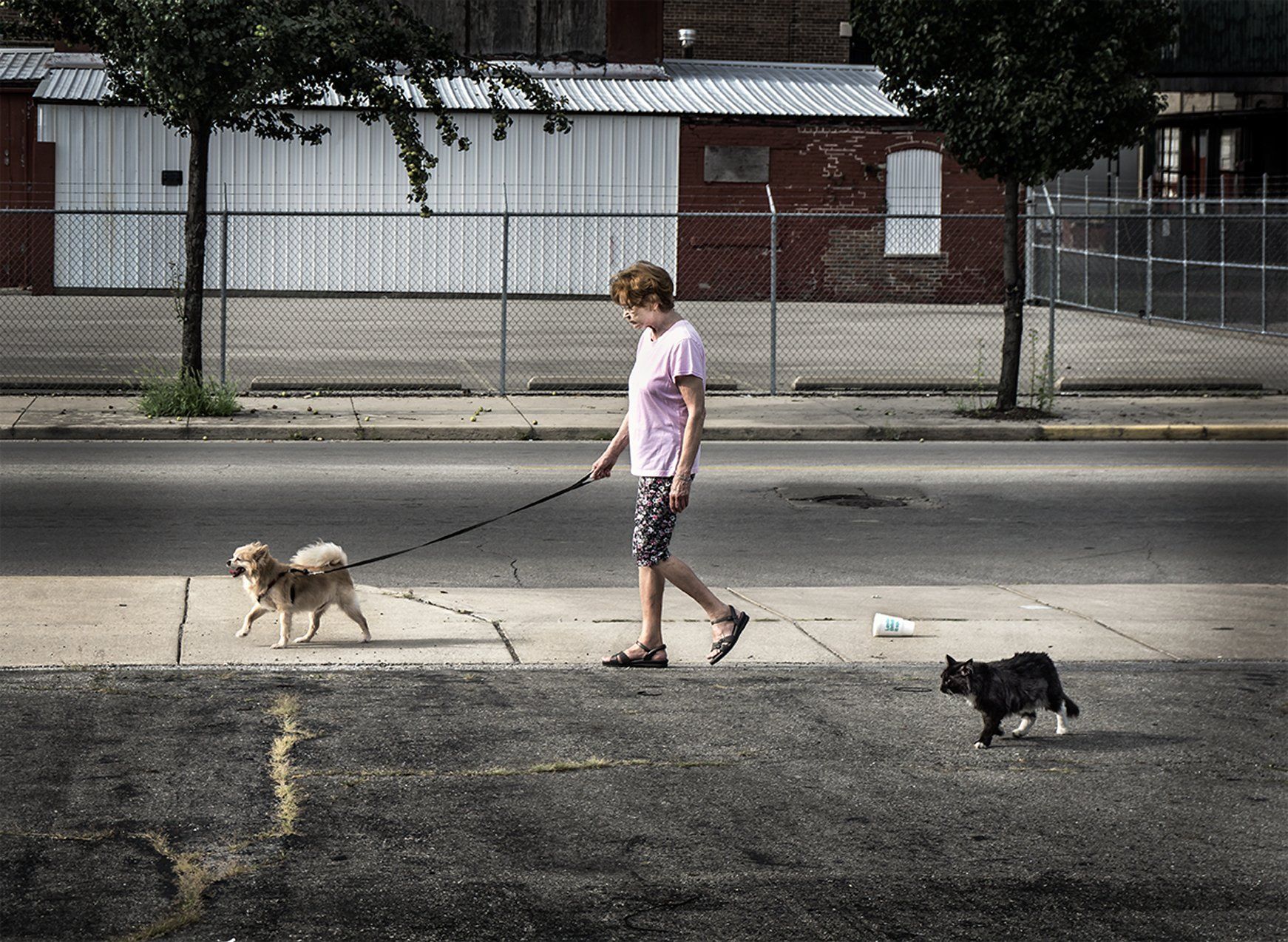 walking the dog