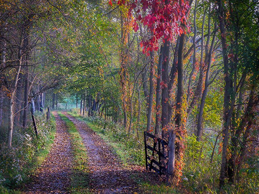 old cemetery road