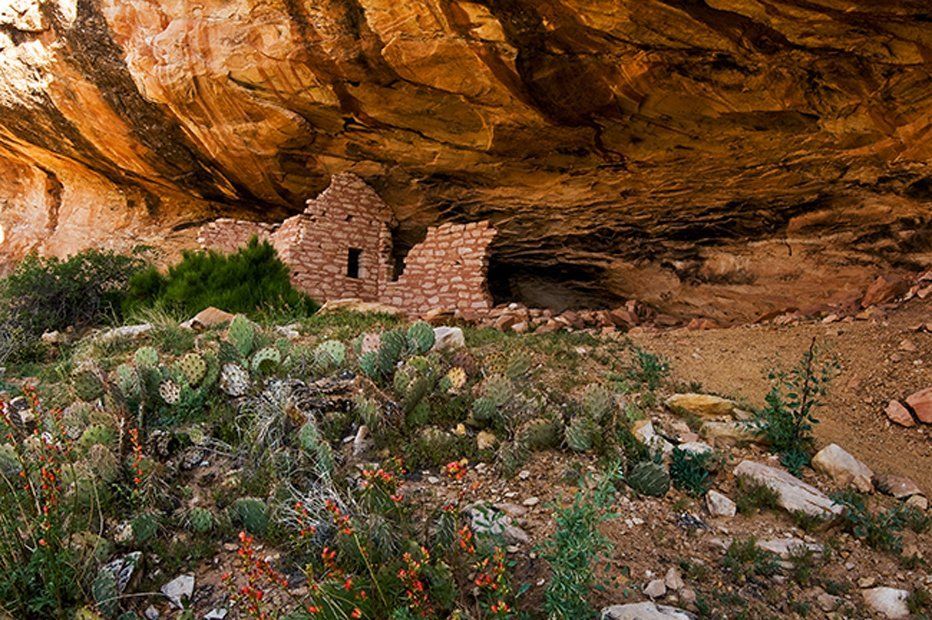 Combridge Ruins & Cactus UT