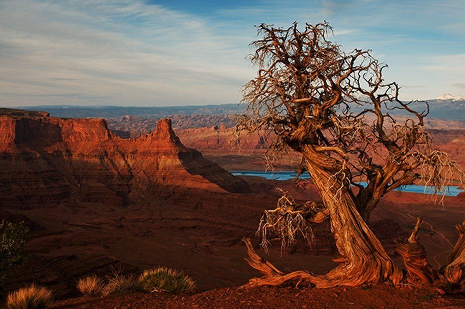 Colorado River Canyon - Deadhorse Point
