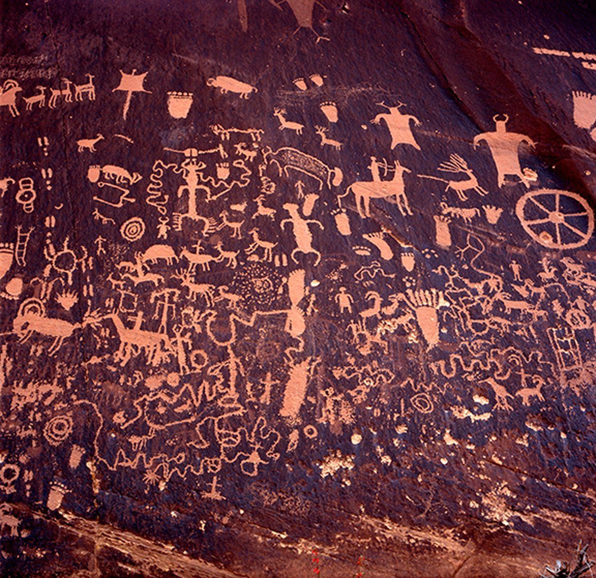 Newspaper Rock Utah