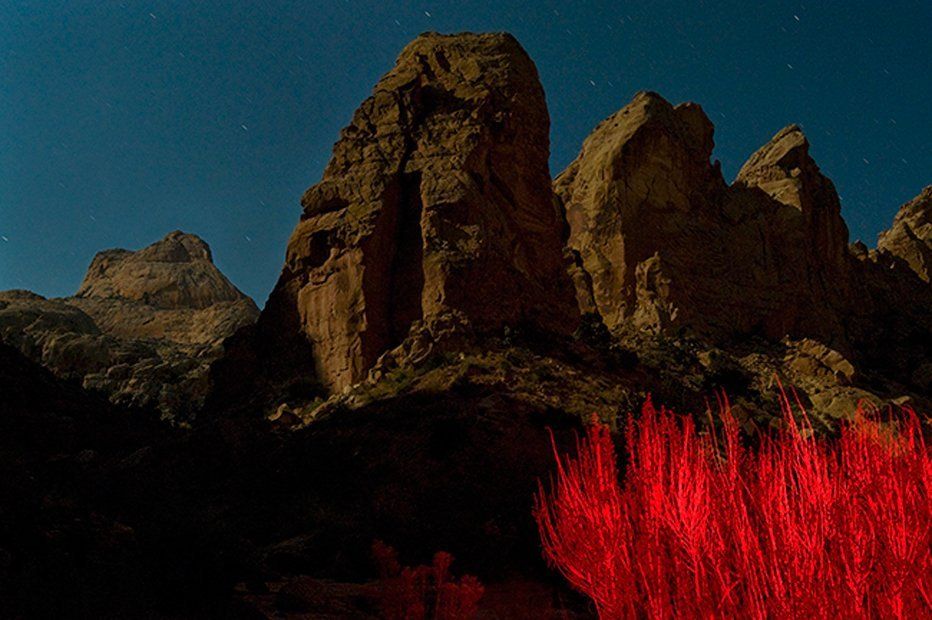 Burning Bush Spring Canyon