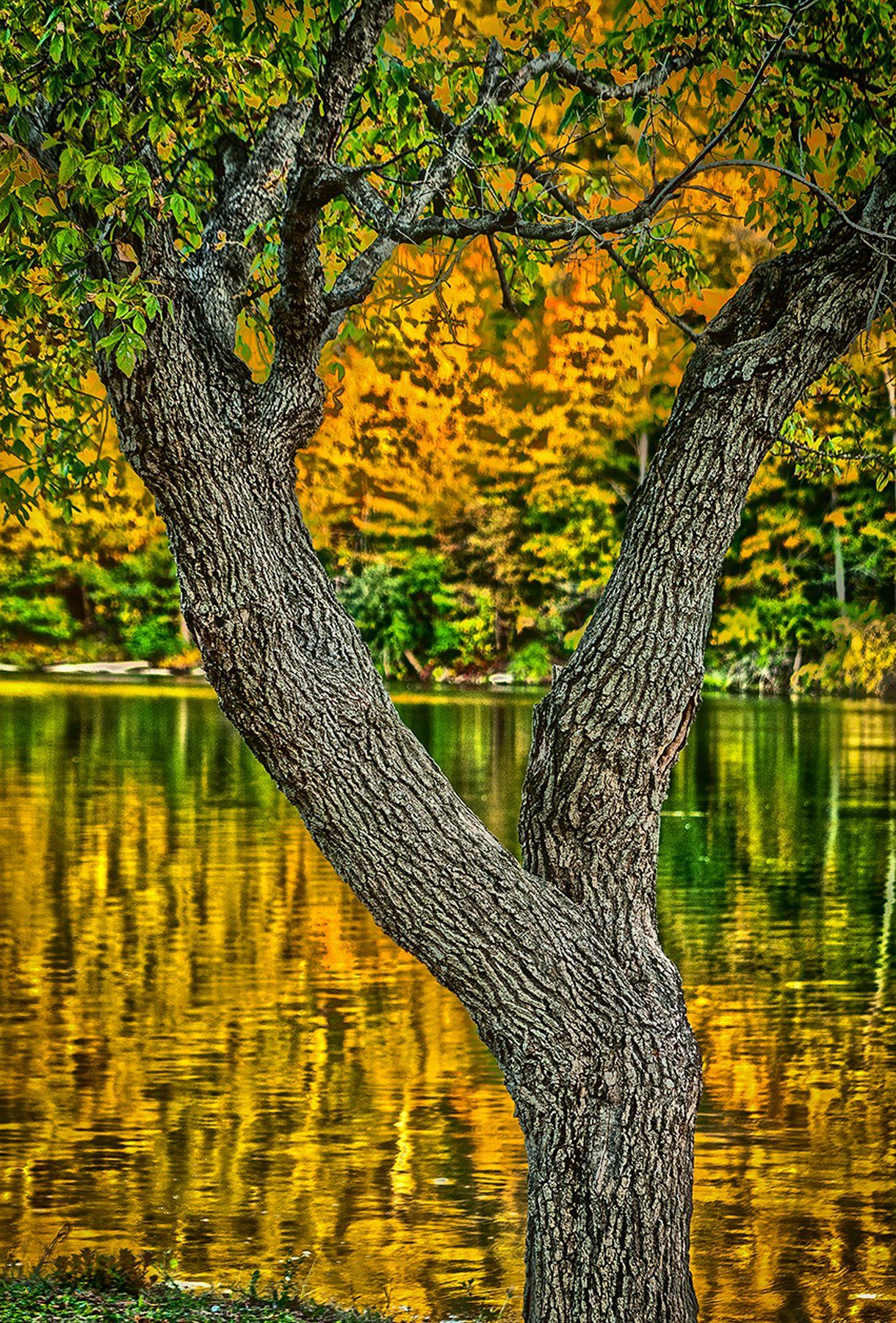 Ash & Lake Brookville, IN