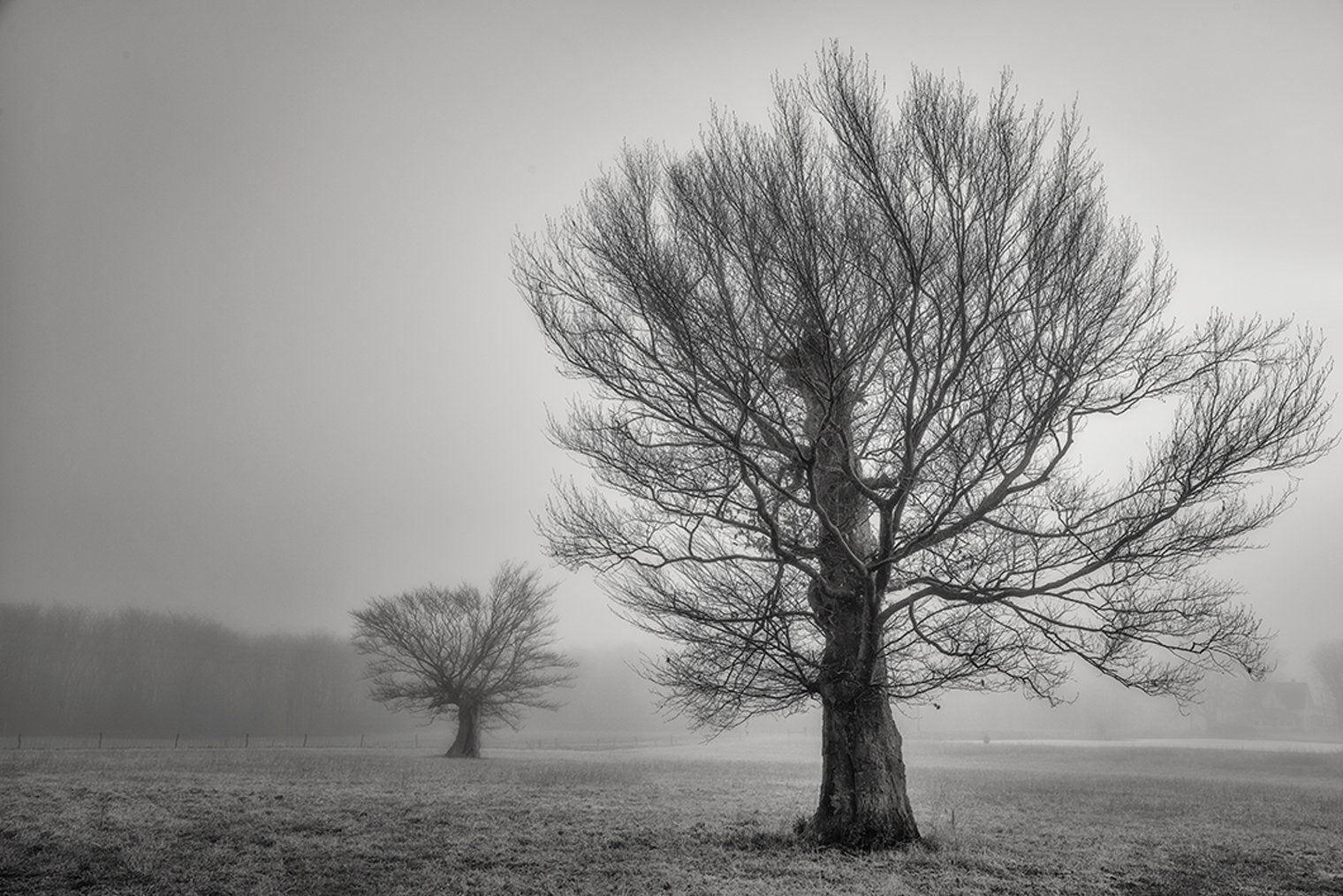 Beech Brothers Franklin Cty, IN