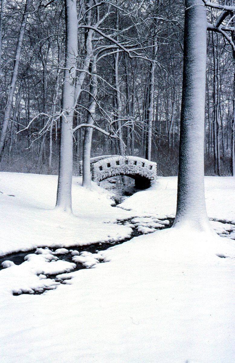 westgate in winter brooke
