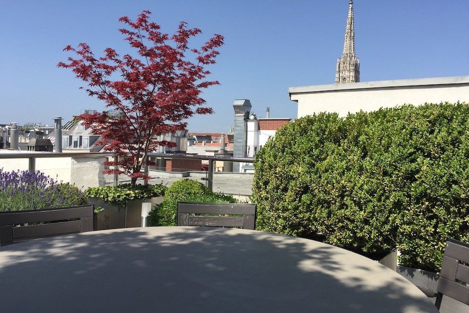 Dachgarten