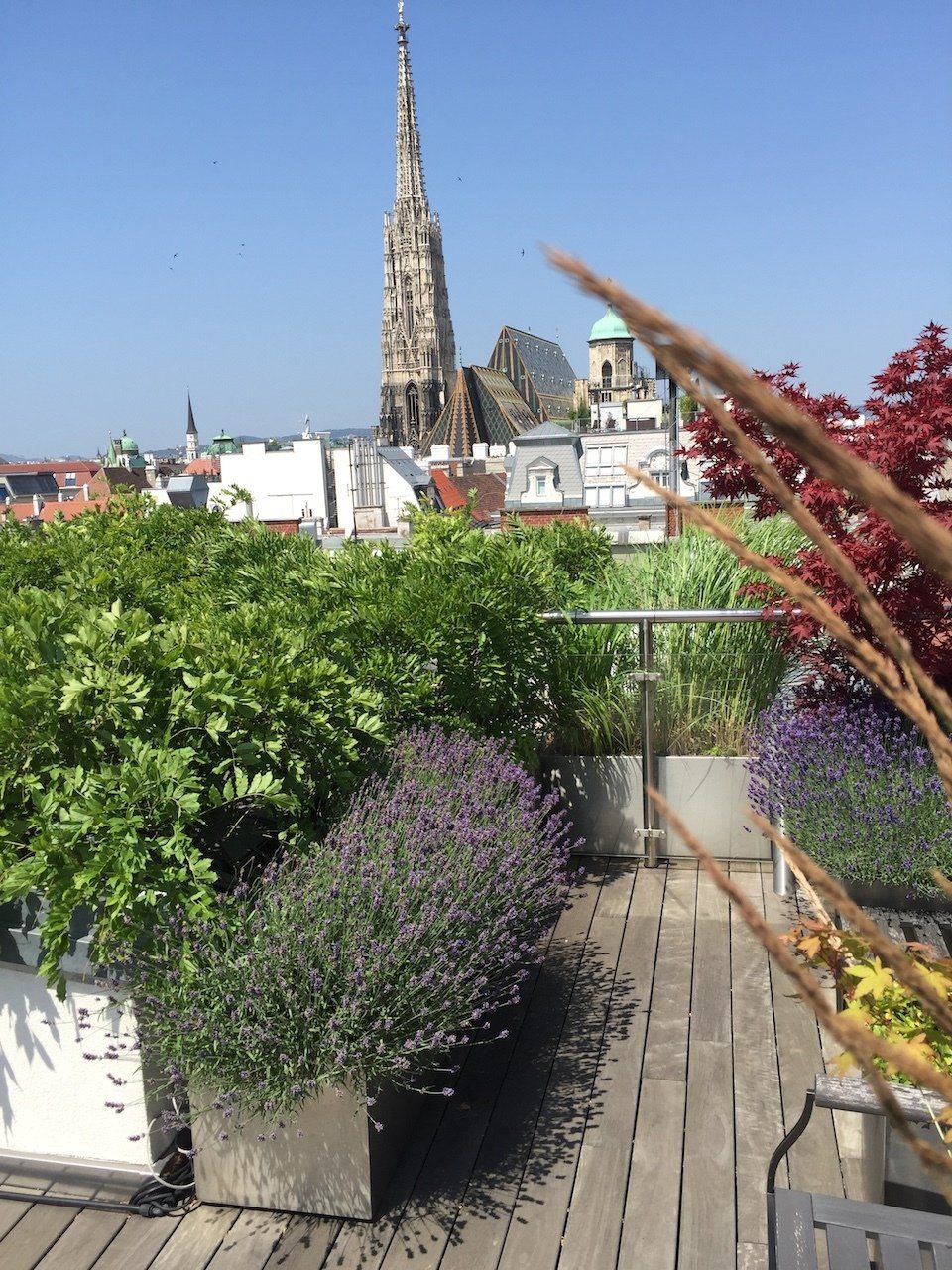 Dachgarten